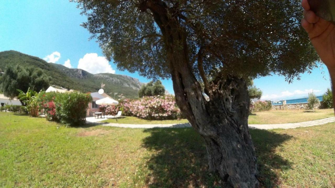 Apartment, Corfu,greece Holiday home Barbati